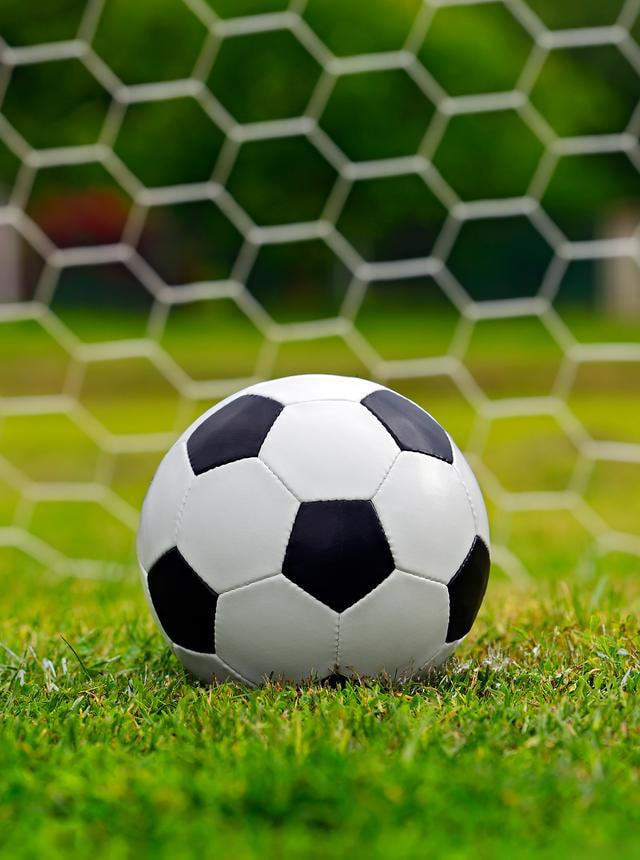 新手球迷入门学习场景